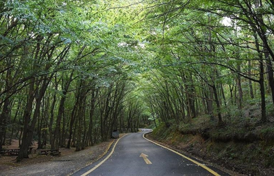 Muğla'da 1 Mayıs'tan itibaren bazı yeşil alanlara giriş yasağı başlıyor