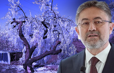 Zirai dondan en çok etkilenen ürünler...