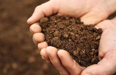 Ekolojik krize yerel çözüm