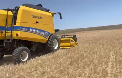 Kuraklık arpayı da vurdu! Verim düşük, hasat erken yapıldı