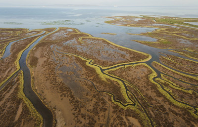 2050'ye kadar küresel ekonomiyi 39 trilyon dolar sarsabilir