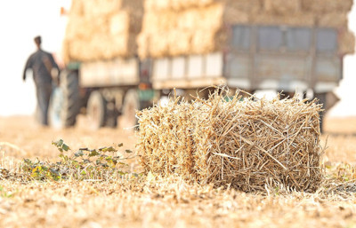Saman fiyatları alev alev