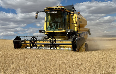 Doğru tohum seçimi kuraklıkta verim kaybını önlüyor