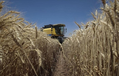 TÜİK açıkladı: Çiftçinin haziran ayı enflasyonu belli oldu!