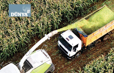 Dünyanın tarım üssü Brezilya