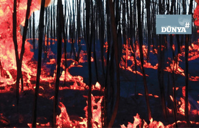 Isındıkça yanıyoruz yandıkça ısınıyoruz