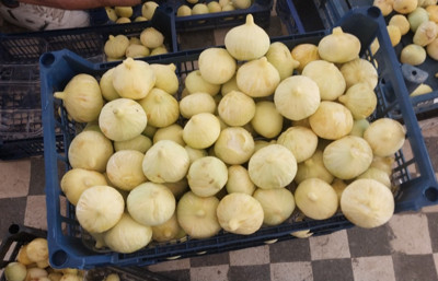 Mersin'de incir fiyatları üreticinin yüzünü güldürüyor