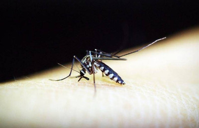 Yüksek ateş ve eklem ağrısıyla başlıyor! 7 bini aşkın vaka bildirildi...