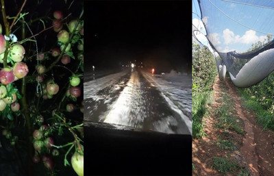 Bir gecede 4 bin 200 ton elma yok oldu, zarar 170 milyon TL!