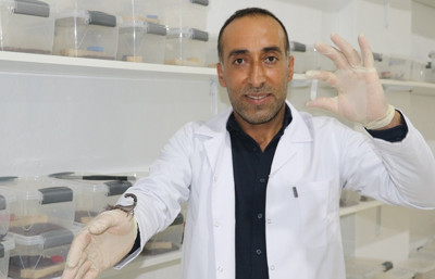 Şantiyeden laboratuvara: Gramı binlerce dolar eden akrep zehri üretiyor