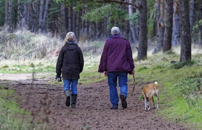 Hoşgelsin yürüyen toplantılar!