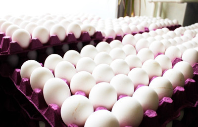 Kar-Mar Gıda, 20 yılda 10 kat büyüme sağladı