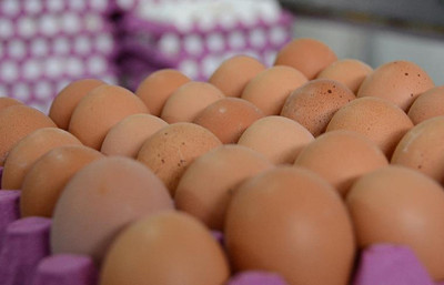 Kaytaş, yeni yatırımla tavuk üretimini 2 milyona çıkaracak