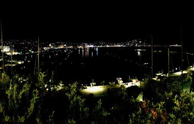 "Hayat kısa, kuşlar uçuyor"