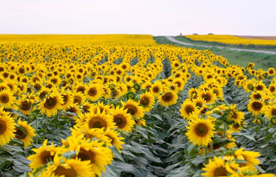 Sorunların çözümü için dağınık yapıyı giderecek işbirliğine ihtiyaç var
