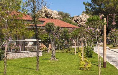 Hayvan dostları için konaklama fırsatları