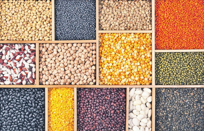 "Bakliyatta çözüm üretimi artırmaktan geçiyor"