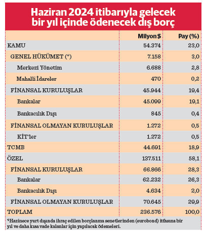 Bir yılda 236,6 milyar dolar dış borç çevrilecek - Resim : 2