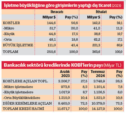 Üretim ve ihracatta küçükler kredide büyükler - Resim : 3