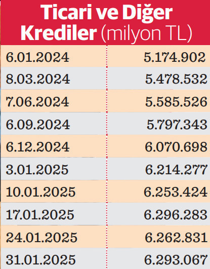 Enflasyonda artış beklentisi TL krediye iştah kabartıyor - Resim : 1
