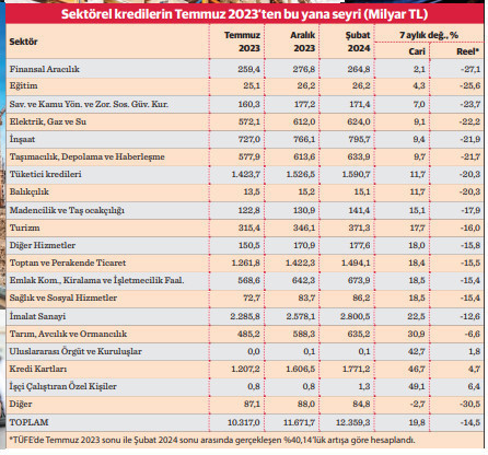 “Seçici kredi”den en çok finans eğitim ve savunma etkilendi - Resim : 1