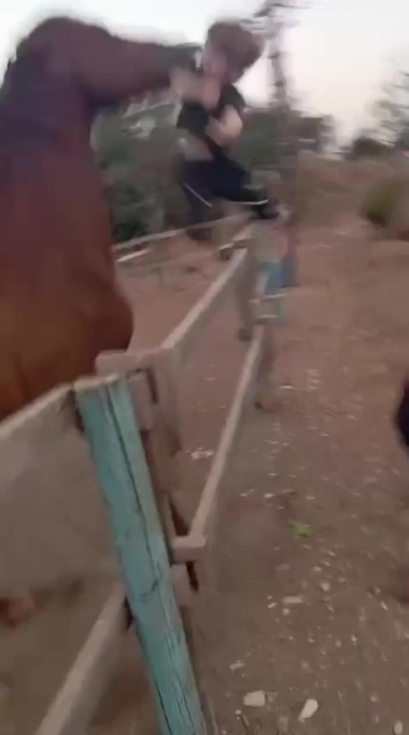 Antalya’da şoke eden anlar: Saldırgan at, babasının kucağından ısırarak aldığı çocuğu metrelerce fırlattı - Resim : 1