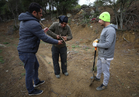 Gökçeada'da tarımsal ürün çeşitliliği artırılıyor - Resim : 2