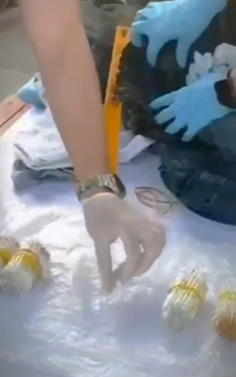 Burdur’da ağızları açık bırakan olay: Piyasa değeri 60 milyon lira olan 201 tüp kobra zehri ele geçirildi - Resim : 2