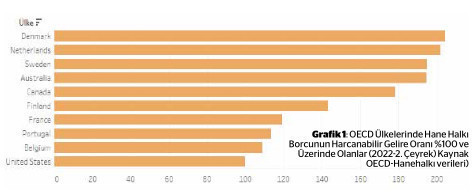 Küresel sıkılaşmanın aksine genişlemeci politika uygulayan Türkiye’de finansman sorunu nasıl çözülür - Resim : 1