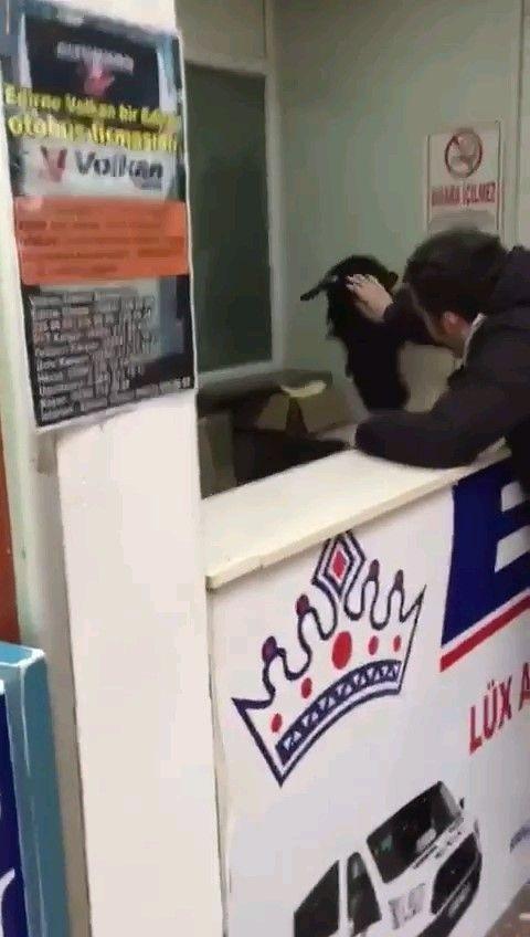 Keçi bayramda otogarı karıştırdı: Çekmeceden paraları kaptı, kaçtı! - Resim: 4