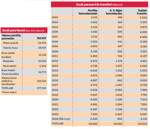 21 yılda 119 milyar dolar kâr transferi - Resim : 1