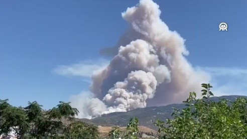 Hatay'da yerleşim yerine yakın yangın