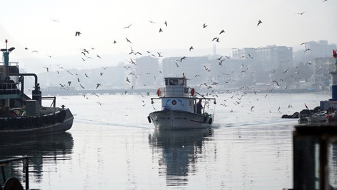 Küçük tekne balıkçıları 'karides' peşinde