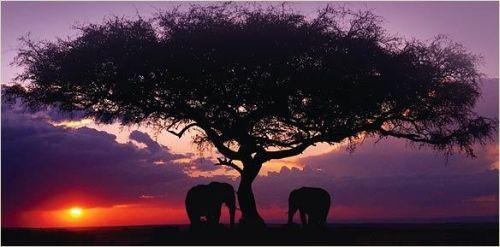 İşsizlikte Türkiye, İngiltere ve ABD'ye yaklaştı - Resim: 11