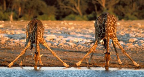 Cari hesap, büyümeyi gölgeliyor - Resim: 43