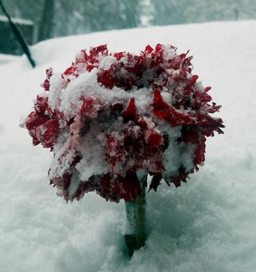 İstanbul'dan kar manzaraları - Resim: 10