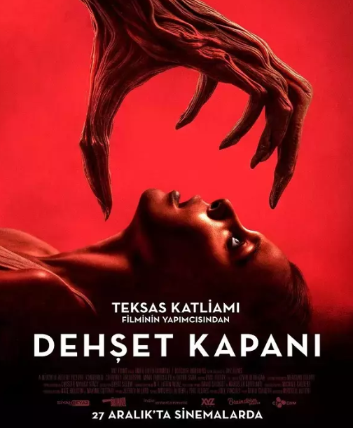Bu hafta hangi filmler vizyona girecek? (27 Aralık 2024) - Resim: 5
