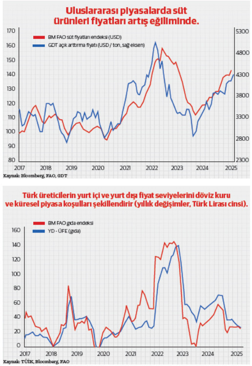 Her dolar, güçlü bir dolar değildir: “Kiwi Doları”, süt fiyatları ve Türkiye’ye etkisi - Resim : 1