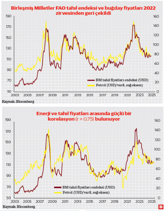 Çöl Tilkisi: Rommel’den Mattei’ye Akdeniz havzası buğday jeo-politiği ve Türkiye etkisi - Resim : 2