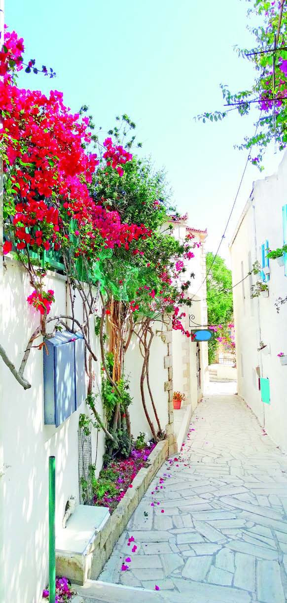 Samos Adası - Resim : 4