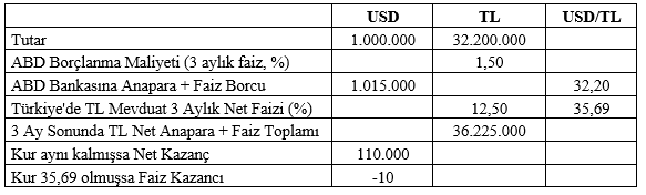 Mahfi Hoca yazdı: Dolardan TL'ye geçişin nedenlerini tek tek sıraladı - Resim : 3