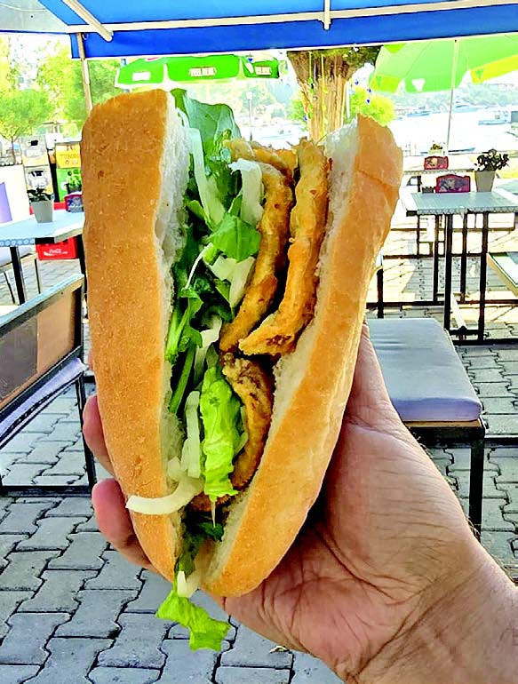 Sardalyanın peşinde: Kıyı kıyı Ege - Resim : 3