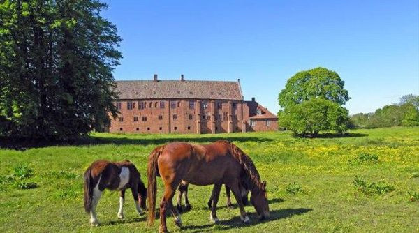 Kopenhag - Resim: 17