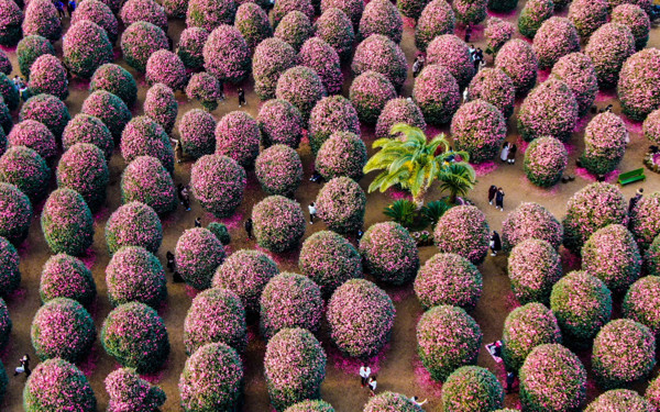 Kore karlar altında sıra dışı seyahat deneyimi sunuyor - Resim : 5