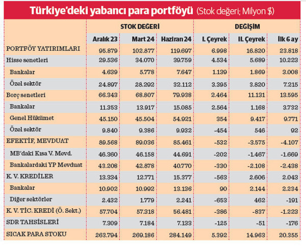 284 milyar dolar sıcak para stoku - Resim : 2