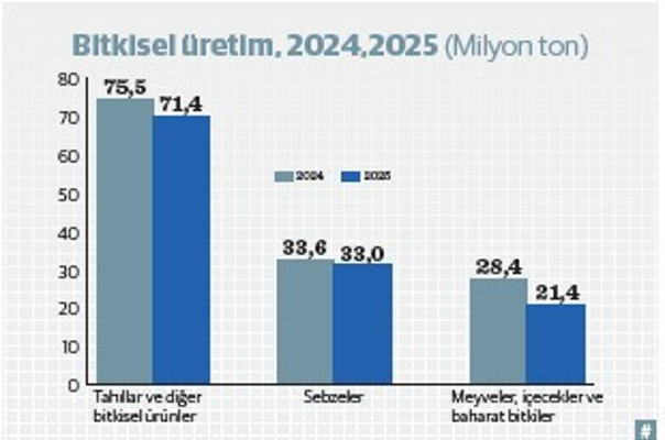 Bitkisel üretimde zorlu yıl: 2025’te soframız küçülecek - Resim : 1