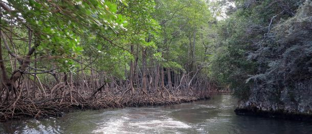 Beş yıldızlı "Survivor" heyecanı - Resim: 15