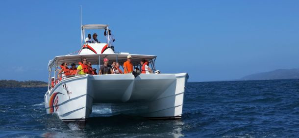 Beş yıldızlı "Survivor" heyecanı - Resim: 8