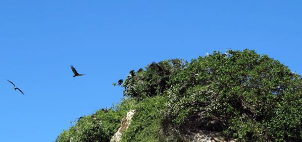 Beş yıldızlı "Survivor" heyecanı - Resim: 16