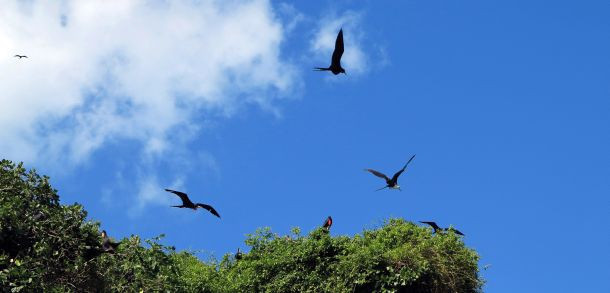 Beş yıldızlı "Survivor" heyecanı - Resim: 12